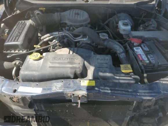 ✅ 2001 Dodge Dakota • VIN: 1B7GL22X91S338711 • Lot: 54914095. Wystawiony na Copart z przebiegiem 200 216 mil. Bezpłatny archiwum sprzedaży aukcyjnych z USA i szczegółowy raport historii pojazdu na DreamBid. Zdjęcie 11.