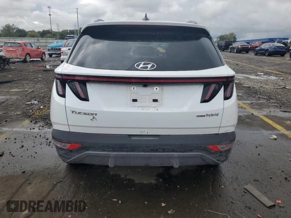 ✅ 2024 Hyundai Tucson Limited • VIN: KM8JECD19RU155755 • Lot: 85678235. Wystawiony na Copart z przebiegiem 7 683 mil. Bezpłatny archiwum sprzedaży aukcyjnych z USA i szczegółowy raport historii pojazdu na DreamBid. Zdjęcie 6.