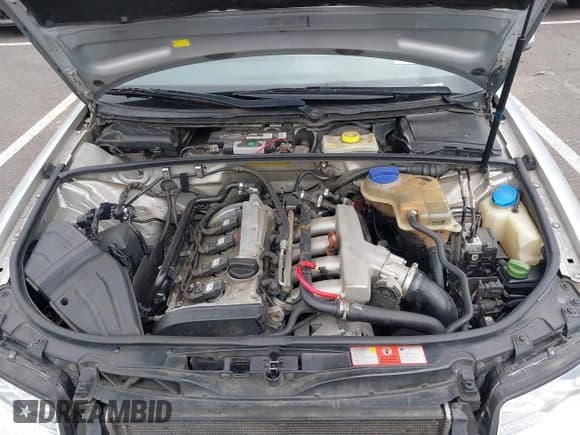 ✅ 2002 Audi A4 1.8T • VIN: WAUVC68E52A313264 • Lot: 42510077. Wystawiony na IAAI z przebiegiem 215 565 mil. Bezpłatny archiwum sprzedaży aukcyjnych z USA i szczegółowy raport historii pojazdu na DreamBid. Zdjęcie 10.