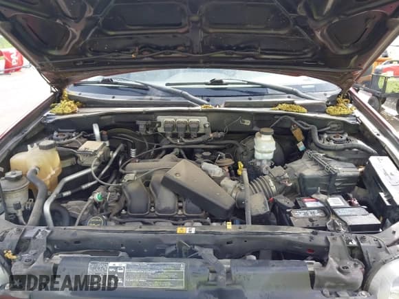 ✅ 2006 Ford Escape XLT • VIN: 1FMYU93166KA44836 • Lot: 42104051. Listed on IAAI with 176,367 mi. Free auction sales archive from the USA and detailed vehicle history report at DreamBid. Image 10.