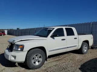 ✅ 2008 Dodge Dakota Laramie • VIN: 1D7HW58N38S638604 • Lot: 90980585. Wystawiony na Copart z przebiegiem 95 871 mil. Bezpłatny archiwum sprzedaży aukcyjnych z USA i szczegółowy raport historii pojazdu na DreamBid. Zdjęcie 1.