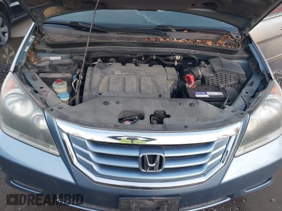 ✅ 2008 Honda Odyssey EX-L • VIN: 5FNRL387X8B037037 • Lot: 43772554. Listed on IAAI with 161,267 mi. Free auction sales archive from the USA and detailed vehicle history report at DreamBid. Image 10.