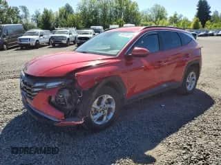 2023 Hyundai Tucson SEL with VIN 5NMJBCAE7PH167119, listed as a Copart auction lot 69572885 with 37,561 mi miles and Salvage title. Bid and sale history available at DreamBid. Image 1.