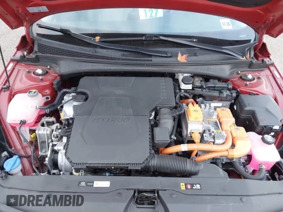 ✅ 2023 Hyundai Elantra Limited • VIN: KMHLN4AJ9PU041674 • Lot: 43568202. Listed on IAAI with 76,230 mi. Free auction sales archive from the USA and detailed vehicle history report at DreamBid. Image 10.