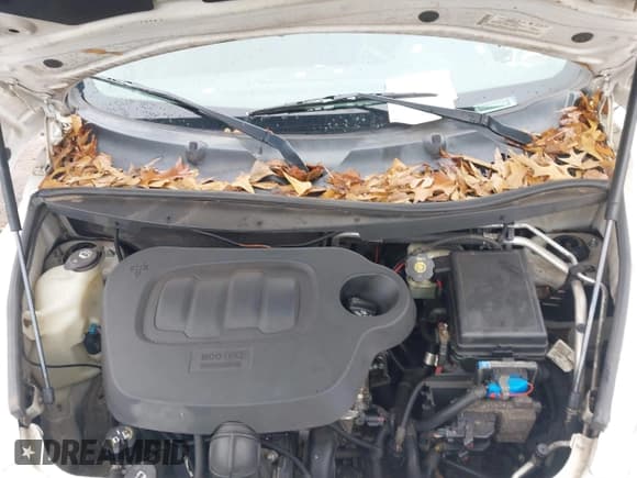 ✅ 2008 Chevrolet HHR LS • VIN: 3GNDA13D18S630690 • Лот: 41512955. Опубликован ранее на IAAI с пробегом 189 522 миль. Бесплатный доступ к архиву аукционных продаж из США и подробный отчёт об истории автомобиля на DreamBid. Изображение 10.