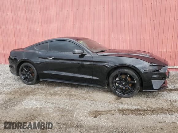 ✅ 2019 Ford Mustang EcoBoost • VIN: 1FA6P8TH6K5160191 • Lot: 89535995. Wystawiony na Copart z przebiegiem 120 339 mil. Bezpłatny archiwum sprzedaży aukcyjnych z USA i szczegółowy raport historii pojazdu na DreamBid. Zdjęcie 4.