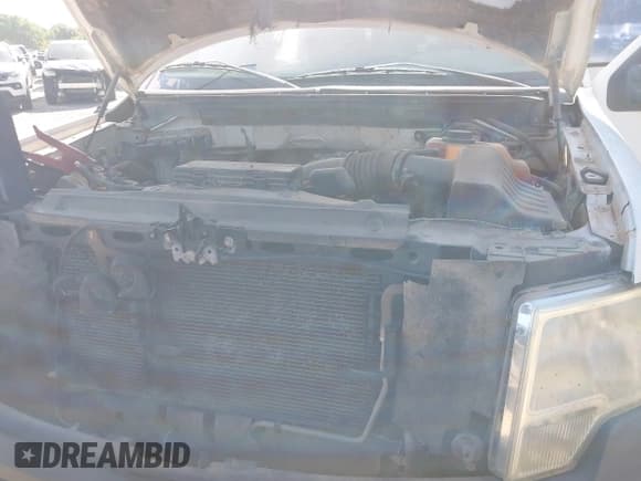 ✅ 2011 Ford F-150 XL • VIN: 1FTFW1EF4BFA55921 • Lot: 42818695. Listed on IAAI with 176 mi. Free auction sales archive from the USA and detailed vehicle history report at DreamBid. Image 10.