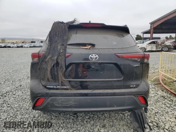 ✅ 2025 Toyota Highlander Hybrid XLE • VIN: 5TDKBRCH2SS666849 • Lot: 68386005. Listed on Copart with Not provided. Free auction sales archive from the USA and detailed vehicle history report at DreamBid. Image 6.