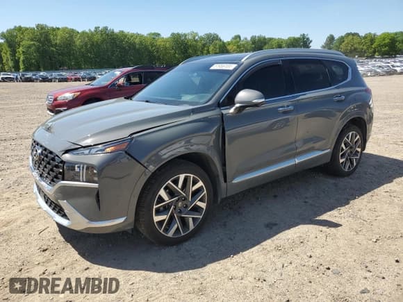 ✅ 2022 Hyundai Santa Fe Calligraphy • VIN: 5NMS54AL1NH456011 • Lot: 51956104. Wystawiony na Copart z przebiegiem 47 923 mil. Bezpłatny archiwum sprzedaży aukcyjnych z USA i szczegółowy raport historii pojazdu na DreamBid. Zdjęcie 1.