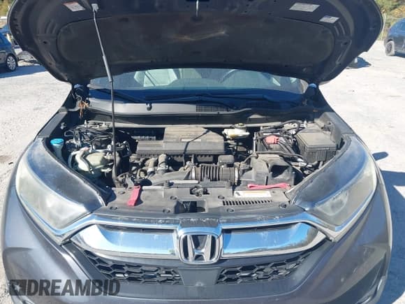 ✅ 2017 Honda CR-V EX-L • VIN: 5J6RW2H81HL003926 • Лот: 43724444. Опубликован ранее на IAAI с пробегом 95 168 миль. Бесплатный доступ к архиву аукционных продаж из США и подробный отчёт об истории автомобиля на DreamBid. Изображение 10.