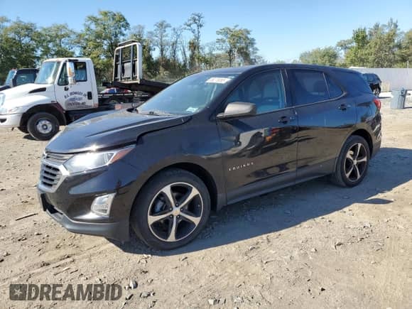 ✅ 2019 Chevrolet Equinox LS • VIN: 3GNAXHEV2KL193476 • Лот: 86276065. Опубликован ранее на Copart с пробегом 118 750 миль. Бесплатный доступ к архиву аукционных продаж из США и подробный отчёт об истории автомобиля на DreamBid. Изображение 1.