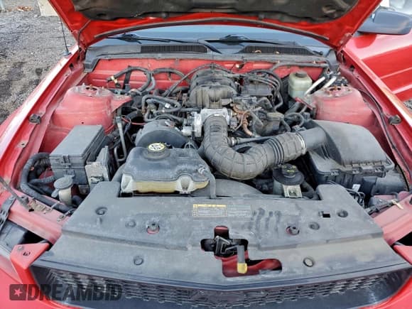 ✅ 2005 Ford Mustang Deluxe • VIN: 1ZVFT80NX55156923 • Lot: 96801755. Listed on Copart with Not provided. Free auction sales archive from the USA and detailed vehicle history report at DreamBid. Image 11.