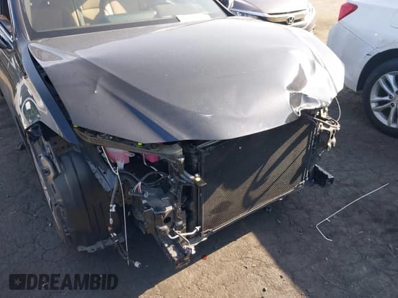 ✅ 2021 Lexus ES 300h • VIN: 58ADA1C11MU009897 • Лот: 42131776. Опубликован ранее на IAAI с пробегом 28 460 миль. Бесплатный доступ к архиву аукционных продаж из США и подробный отчёт об истории автомобиля на DreamBid. Изображение 12.