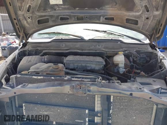 2003 Dodge 1500 ST z VIN 1D7HA18N63S303062, wystawiony jako IAAI lot #42756553 z przebiegiem 167 746 mil mil oraz . Historia ofert i sprzedaży dostępna na DreamBid. Obrazek 10.