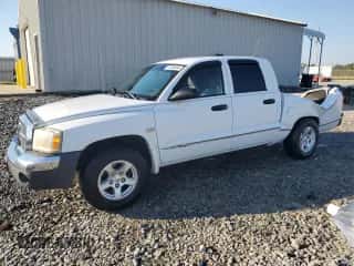 2005 Dodge Dakota SLT с VIN 1D7HE48K75S337896, выставлен на аукционе Copart как лот 77905654 с пробегом 112 180 миль миль и Списание • Salvage title. История ставок и продаж доступна на DreamBid. Изображение 1.