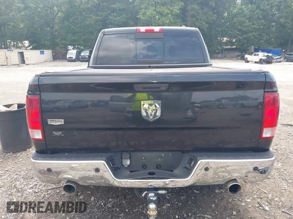 ✅ 2010 Dodge 1500 SLT • VIN: 1D7RB1CT2AS121461 • Lot: 42615319. Listed on IAAI with 225,700 mi. Free auction sales archive from the USA and detailed vehicle history report at DreamBid. Image 17.