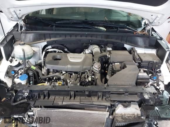 2018 Hyundai Tucson Limited with VIN KM8J33A21JU622755, listed as a IAAI auction lot 41545445 with 53,971 mi miles and . Bid and sale history available at DreamBid. Image 10.