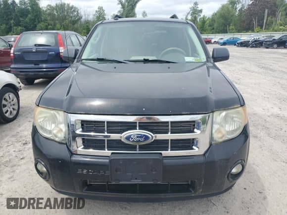 ✅ 2010 Ford Escape XLT • VIN: 1FMCU9D74AKC72632 • Lot: 60839115. Wystawiony na Copart z przebiegiem 164 985 mil. Bezpłatny archiwum sprzedaży aukcyjnych z USA i szczegółowy raport historii pojazdu na DreamBid. Zdjęcie 5.
