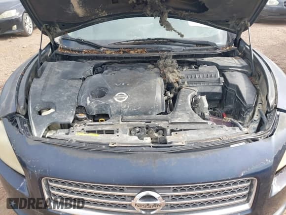 ✅ 2010 Nissan Maxima S • VIN: 1N4AA5AP9AC822408 • Лот: 43115785. Опубликован ранее на IAAI с пробегом 190 292 миль. Бесплатный доступ к архиву аукционных продаж из США и подробный отчёт об истории автомобиля на DreamBid. Изображение 10.