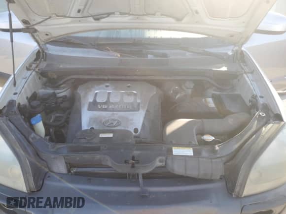 2006 Hyundai Tucson GLS with VIN KM8JN72D96U307422, listed as a Copart auction lot 75299464 with 113,578 mi miles and Salvage title. Bid and sale history available at DreamBid. Image 13.