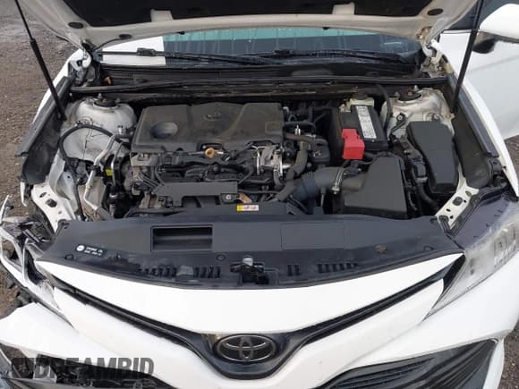 ✅ 2019 Toyota Camry LE • VIN: 4T1B11HK7KU781432 • Lot: 43292415. Wystawiony na IAAI z przebiegiem Nie podano. Bezpłatny archiwum sprzedaży aukcyjnych z USA i szczegółowy raport historii pojazdu na DreamBid. Zdjęcie 10.