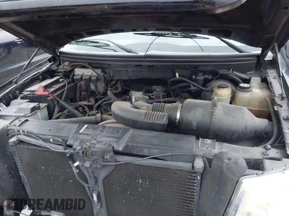 ✅ 2007 Ford F-150 XL • VIN: 1FTRF14W37KC87438 • Lot: 43861014. Wystawiony na IAAI z przebiegiem 125 090 mil. Bezpłatny archiwum sprzedaży aukcyjnych z USA i szczegółowy raport historii pojazdu na DreamBid. Zdjęcie 10.