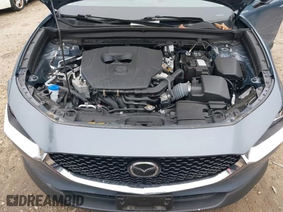 ✅ 2024 Mazda CX-30 S Preferred • VIN: 3MVDMBCM1RM647306 • Lot: 43701334. Listed on IAAI with 25,436 mi. Free auction sales archive from the USA and detailed vehicle history report at DreamBid. Image 10.