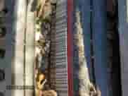 2001 Chevrolet Silverado 1500 с VIN 1GCEK14W61Z235620, выставлен на аукционе Copart как лот 76887924 с пробегом Не указан миль и На запчасти • Non repairable. История ставок и продаж доступна на DreamBid. Изображение 13.