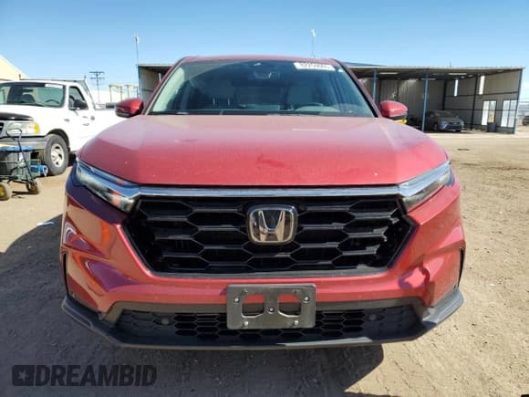 ✅ 2024 Honda CR-V EX-L • VIN: 2HKRS4H71RH421879 • Lot: 82259005. Wystawiony na Copart z przebiegiem 14 241 mil. Bezpłatny archiwum sprzedaży aukcyjnych z USA i szczegółowy raport historii pojazdu na DreamBid. Zdjęcie 5.