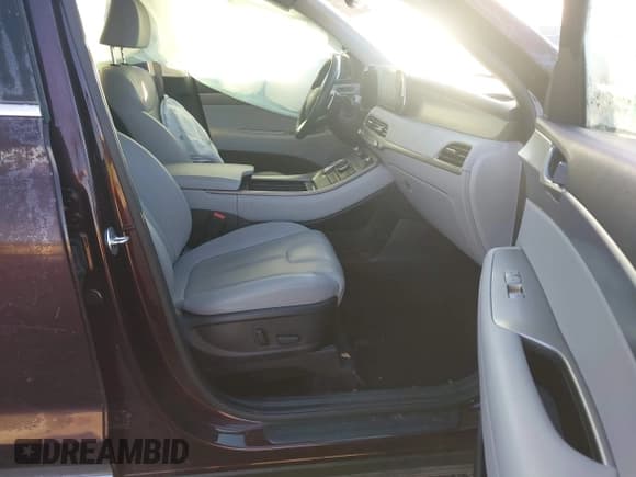✅ 2020 Hyundai Palisade SEL • VIN: KM8R4DHE6LU086751 • Lot: 43625342. Listed on IAAI with 48,329 mi. Free auction sales archive from the USA and detailed vehicle history report at DreamBid. Image 5.