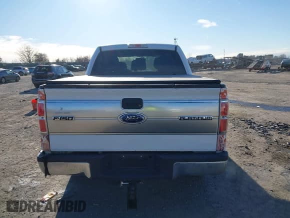 ✅ 2011 Ford F-150 XLT • VIN: 1FTFW1EF0BFB11059 • Lot: 43905361. Listed on IAAI with 290,277 mi. Free auction sales archive from the USA and detailed vehicle history report at DreamBid. Image 16.