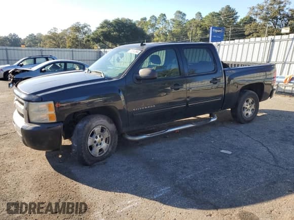 ✅ 2010 Chevrolet Silverado 1500 LS • VIN: 3GCRCREA7AG280713 • Lot: 76860394. Listed on Copart with 204,534 mi. Free auction sales archive from the USA and detailed vehicle history report at DreamBid. Image 1.