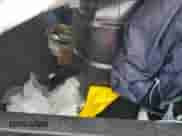 2008 Dodge Caliber SE с VIN 1B3HB28C58D559055, выставлен на аукционе Copart как лот 80347624 с пробегом Не указан миль и Списание • Salvage title. История ставок и продаж доступна на DreamBid. Изображение 12.