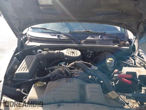 ✅ 2000 Dodge Dakota • VIN: 1B7GL22X2YS648337 • Lot: 42100658. Wystawiony na IAAI z przebiegiem 180 790 mil. Bezpłatny archiwum sprzedaży aukcyjnych z USA i szczegółowy raport historii pojazdu na DreamBid. Zdjęcie 10.