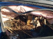 ✅ 2017 Hyundai Elantra SE • VIN: 5NPD84LF8HH200592 • Lot: 43649880. Listed on IAAI with Not provided. Free auction sales archive from the USA and detailed vehicle history report at DreamBid. Image 5.