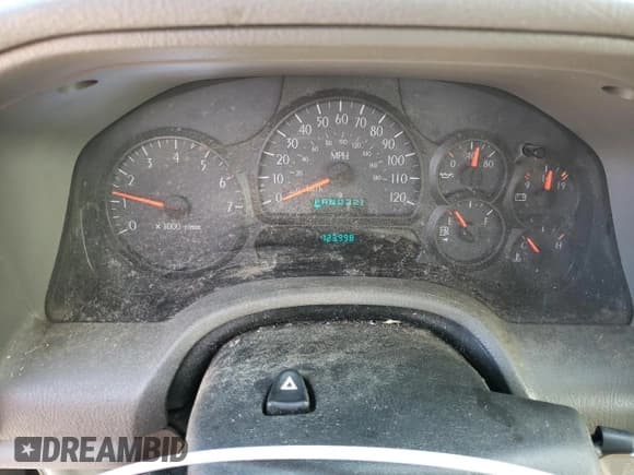 ✅ 2004 Isuzu Ascender S • VIN: 4NUDS13SX42102368 • Lot: 70032284. Listed on Copart with 123,998 mi. Free auction sales archive from the USA and detailed vehicle history report at DreamBid. Image 9.