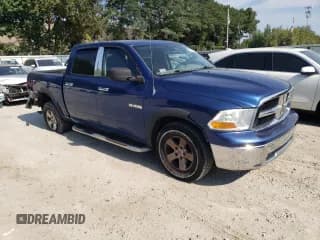 ✅ 2010 Dodge 1500 SLT • VIN: 1D7RV1CP3AS134164 • Лот: 71149404. Опубликован ранее на Copart с пробегом 166 757 миль. Бесплатный доступ к архиву аукционных продаж из США и подробный отчёт об истории автомобиля на DreamBid. Изображение 4.