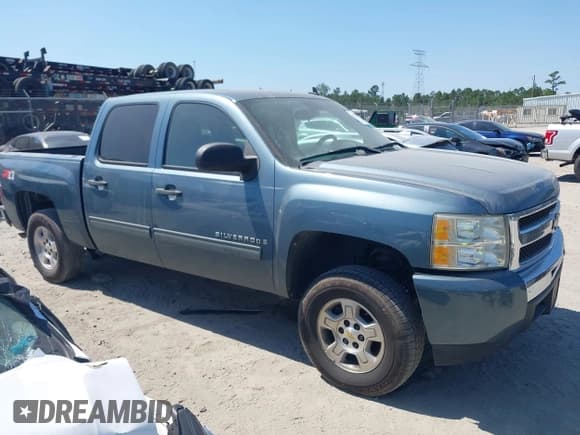 ✅ 2009 Chevrolet Silverado 1500 LS • VIN: 3GCEC13C79G171183 • Lot: 43234074. Listed on IAAI with 163,706 mi. Free auction sales archive from the USA and detailed vehicle history report at DreamBid. Image 13.