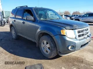 ✅ 2010 Ford Escape XLT • VIN: 1FMCU0D70AKA45238 • Lot: 43772724. Listed on IAAI with 262,302 mi. Free auction sales archive from the USA and detailed vehicle history report at DreamBid. Image 1.