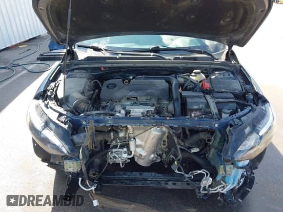 2019 Chevrolet Malibu LT with VIN 1G1ZD5ST1KF225794, listed as a IAAI auction lot 43293754 with 107,152 mi miles and . Bid and sale history available at DreamBid. Image 10.