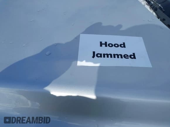 ✅ 2014 Chevrolet Captiva Sport LS • VIN: 3GNAL2EK5ES676761 • Lot: 41487676. Wystawiony na IAAI z przebiegiem Nie podano. Bezpłatny archiwum sprzedaży aukcyjnych z USA i szczegółowy raport historii pojazdu na DreamBid. Zdjęcie 10.