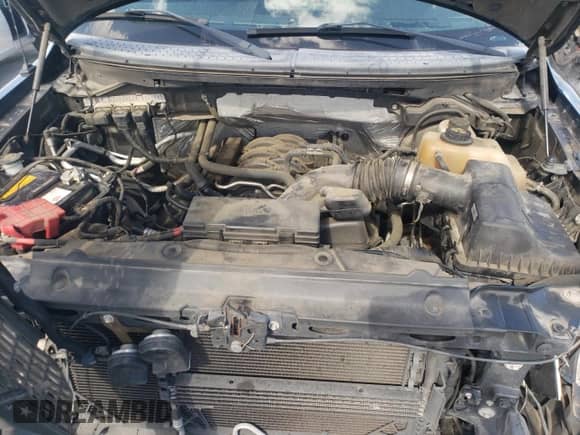 2013 Ford F-150 XLT z VIN 1FTFW1EF8DKE93688, wystawiony jako Copart lot #84923875 z przebiegiem 93 730 mil mil oraz Czysty tytuł • Clean title. Historia ofert i sprzedaży dostępna na DreamBid. Obrazek 11.