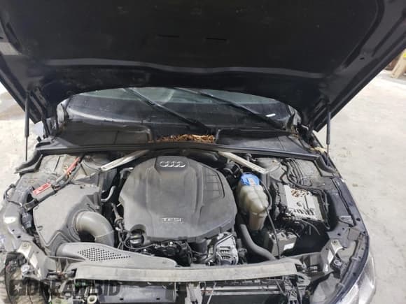 ✅ 2018 Audi A4 • VIN: WAUDNBF47JA222939 • Лот: 43233175. Опубликован ранее на Copart с пробегом 109 312 миль. Бесплатный доступ к архиву аукционных продаж из США и подробный отчёт об истории автомобиля на DreamBid. Изображение 11.