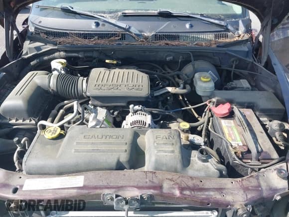 ✅ 2004 Dodge Dakota SLT • VIN: 1D7HL48N74S586018 • Lot: 41910755. Listed on IAAI with 259,924 mi. Free auction sales archive from the USA and detailed vehicle history report at DreamBid. Image 10.