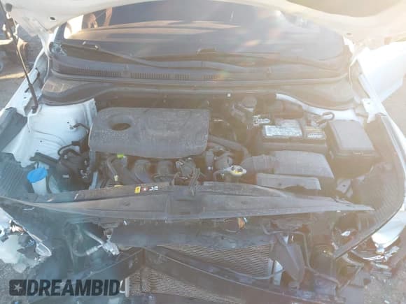 ✅ 2018 Hyundai Accent SE • VIN: 3KPC24A33JE025524 • Лот: 41074654. Опубликован ранее на IAAI с пробегом 132 252 миль. Бесплатный доступ к архиву аукционных продаж из США и подробный отчёт об истории автомобиля на DreamBid. Изображение 10.