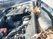 ✅ 2010 Mercury Mariner Premier • VIN: 4M2CN8HG8AKJ10048 • Lot: 41197649. Listed on IAAI with 176,248 mi. Free auction sales archive from the USA and detailed vehicle history report at DreamBid. Image 20.