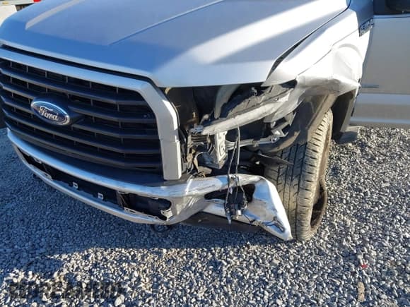 ✅ 2016 Ford F-150 XLT • VIN: 1FTEW1EP2GFB69332 • Lot: 43617812. Listed on IAAI with 98,425 mi. Free auction sales archive from the USA and detailed vehicle history report at DreamBid. Image 6.