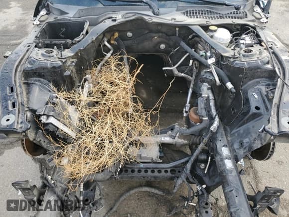 ✅ 2019 Ford Mustang GT Premium • VIN: 1FA6P8CFXK5193161 • Lot: 86142685. Listed on Copart with Not provided. Free auction sales archive from the USA and detailed vehicle history report at DreamBid. Image 11.