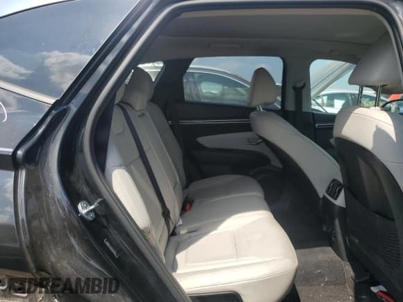 ✅ 2023 Hyundai Tucson Limited • VIN: 5NMJECAE2PH259617 • Lot: 68278545. Wystawiony na Copart z przebiegiem 11 183 mil. Bezpłatny archiwum sprzedaży aukcyjnych z USA i szczegółowy raport historii pojazdu na DreamBid. Zdjęcie 10.