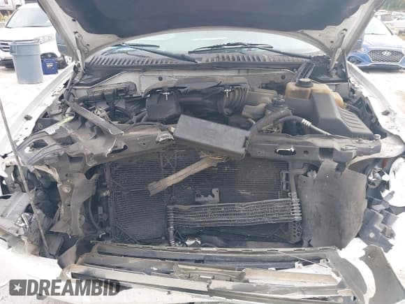 ✅ 2007 Ford Expedition Max XLT • VIN: 1FMFK165X7LA17471 • Лот: 37941369. Опубликован ранее на IAAI с пробегом Не указан. Бесплатный доступ к архиву аукционных продаж из США и подробный отчёт об истории автомобиля на DreamBid. Изображение 10.